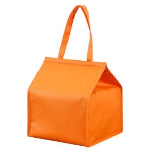 Food Cooler Bag for Picnic