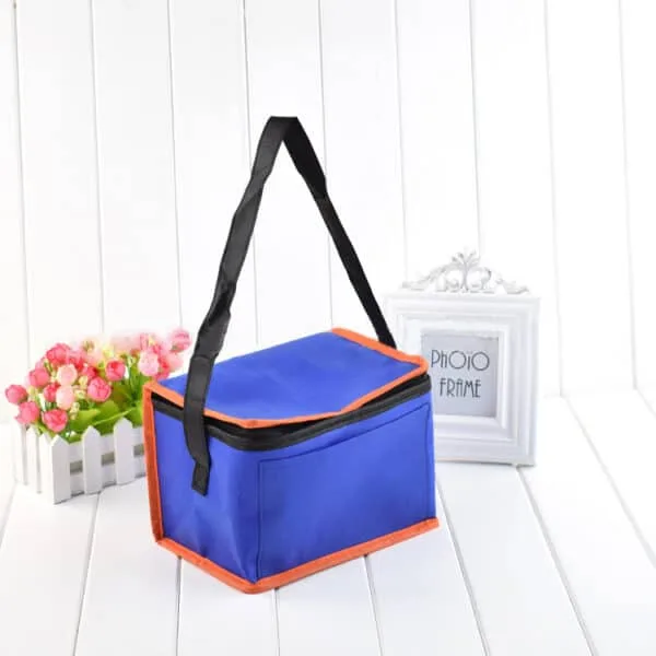 Non-woven 6 Can Cooler Bag in Bulk