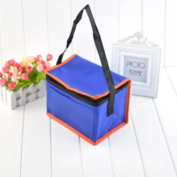 Non-woven 6 Can Cooler Bag in Bulk