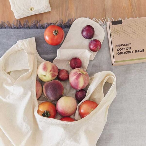 Eco-friendly portable collapsible shopping bag