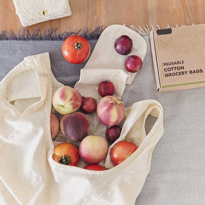 Collapsible grocery bag hot sale