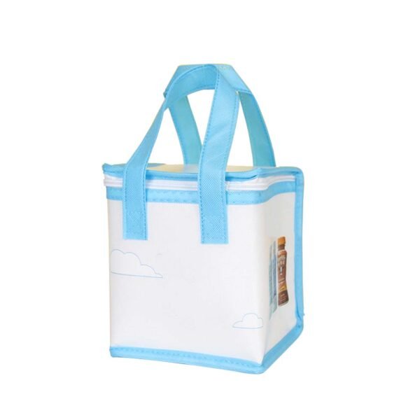 Insulated Cooler Bag for Yogurt and Fresh Milk | Dairy Transport Tote
