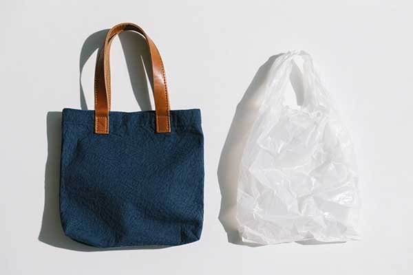 A canvas bag shown side-by-side with a single-use plastic bag.