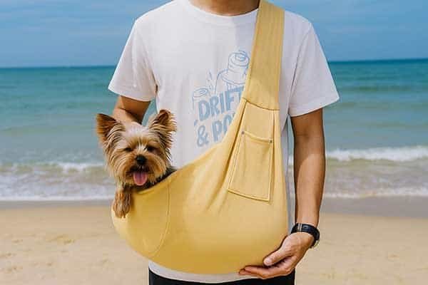 A Yorkshire being carried in a butter yellow sling-style pet bag.