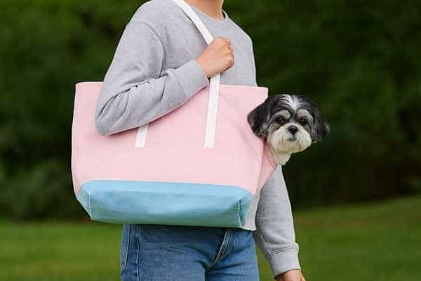 A Shih Tzu peeking out of a pink and blue canvas tote bag.
