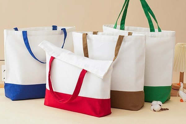 Two-tone Canvas Bag